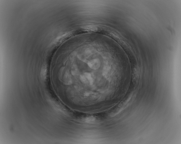 X0000114120600200910051512