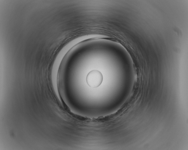 X0000114120601200910051512