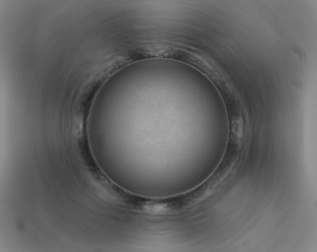 X0000114120602200910051512