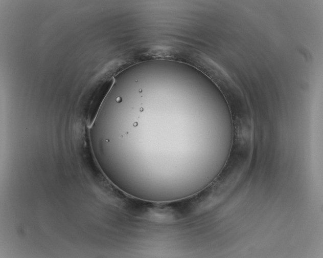 X0000114120603200910051512