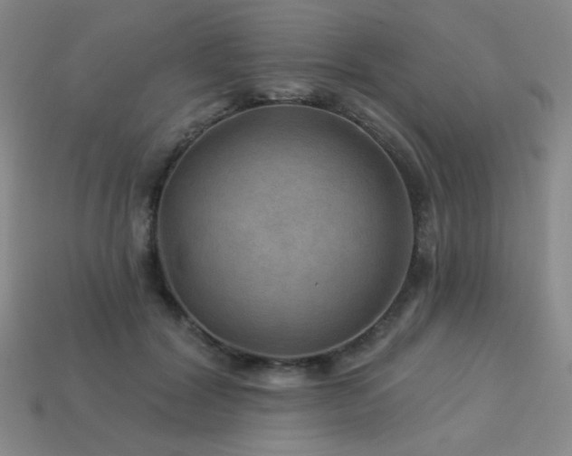 X0000114120604200910051512