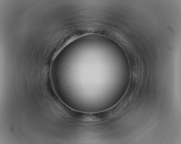 X0000114120605200910051512