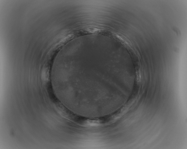 X0000114120606200910051512