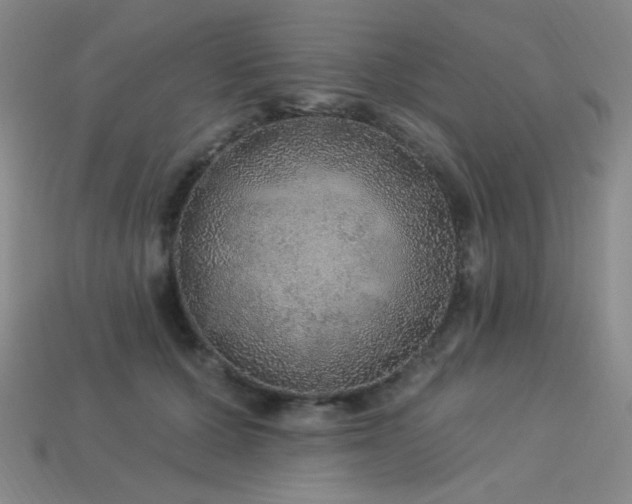 X0000114120607200910051512