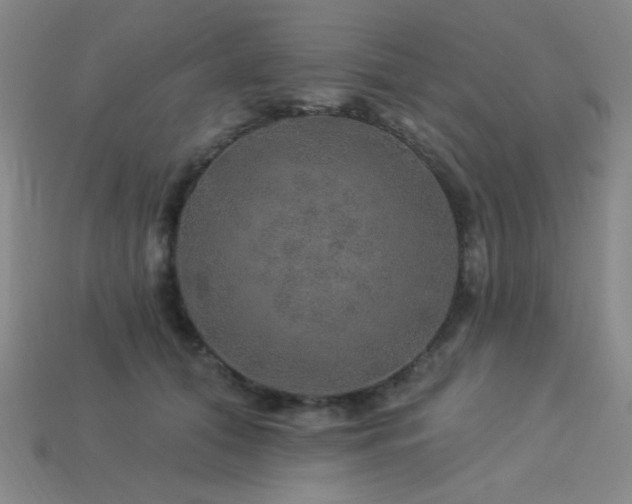 X0000114120608200910051512