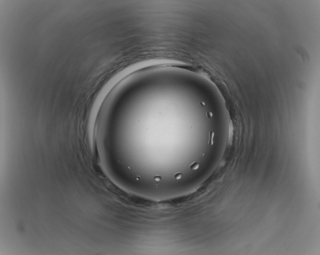 X0000114120609200910051512