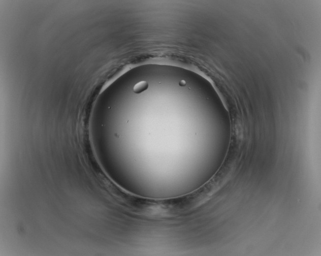 X0000114120611200910051512