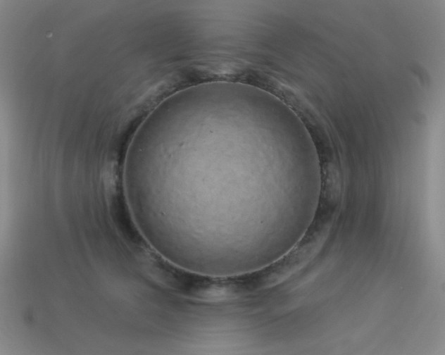 X0000114120612200910051512