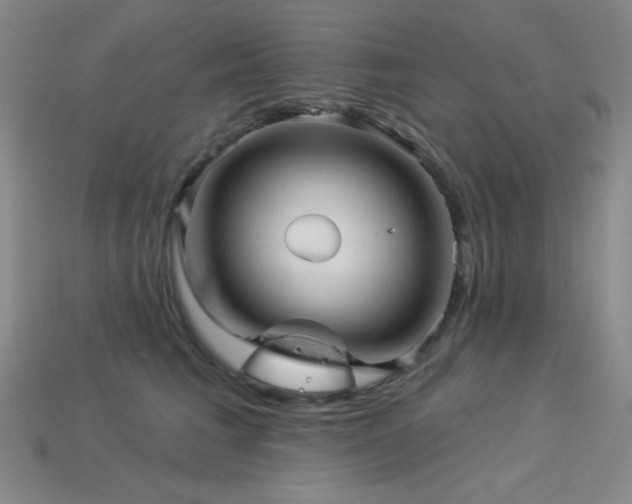 X0000114120613200910051512