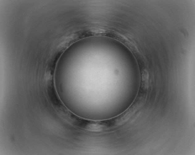 X0000114120614200910051512