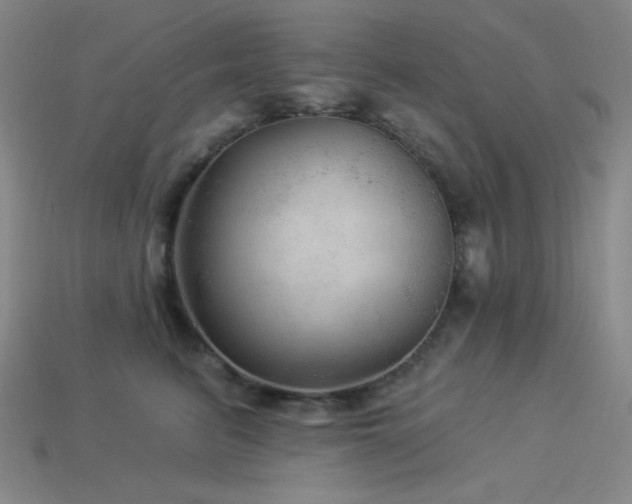 X0000114120615200910051512