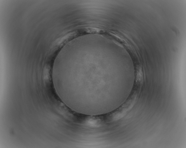 X0000114120616200910051512