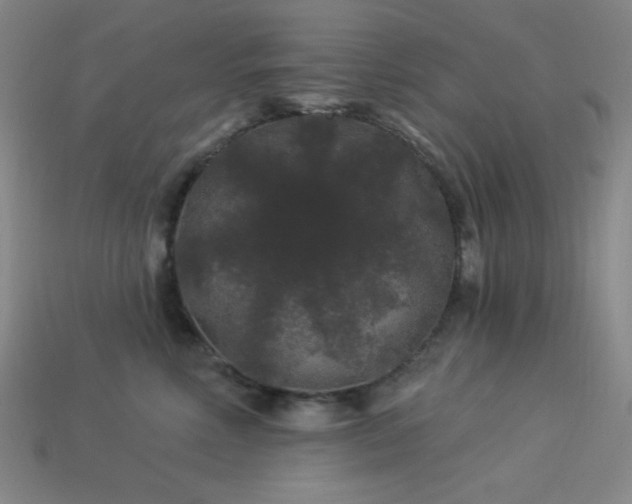 X0000114120618200910051512