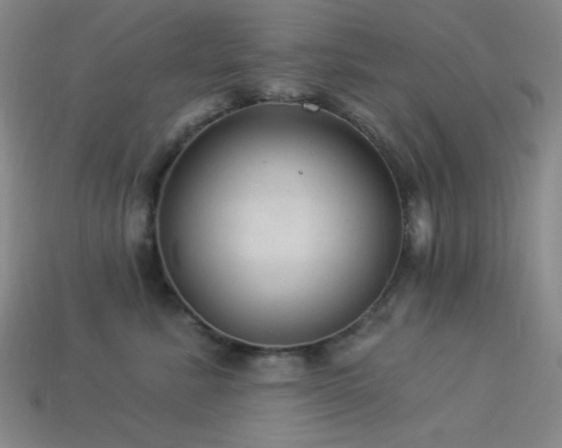 X0000114120619200910051512