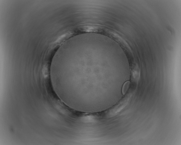 X0000114120620200910051512