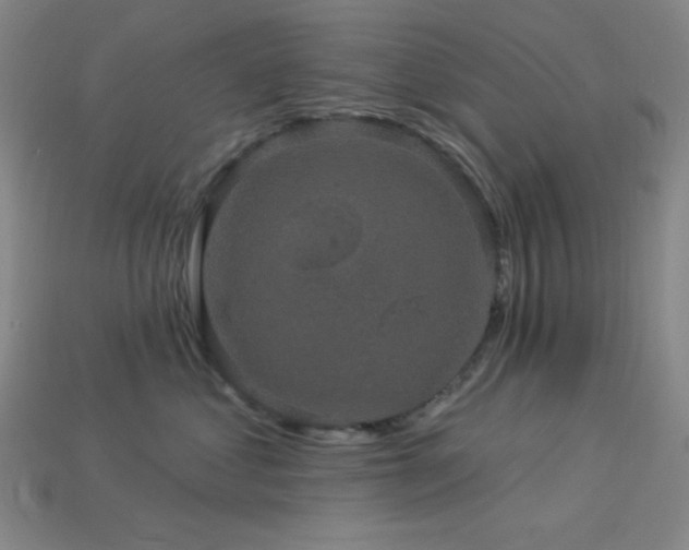 X0000114120621200910051512