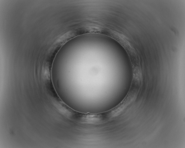 X0000114120622200910051512