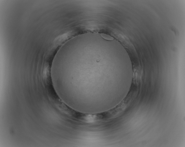 X0000114120623200910051512