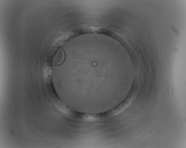 X0000114120624200910051512