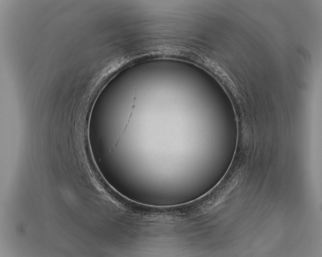 X0000114120625200910051511