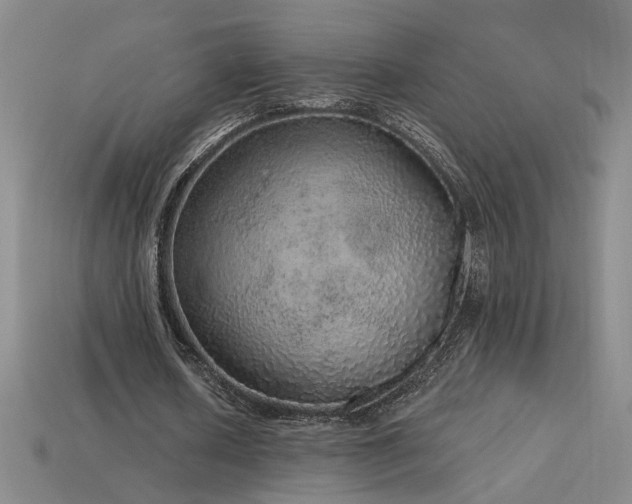 X0000114120626200910051511