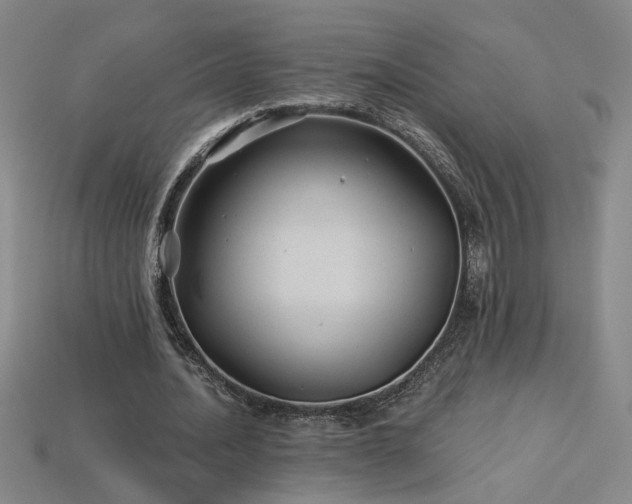 X0000114120628200910051511