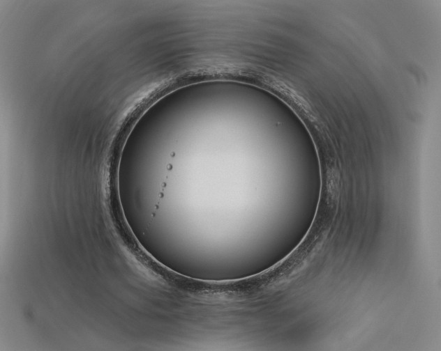 X0000114120629200910051511