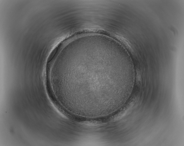 X0000114120630200910051511