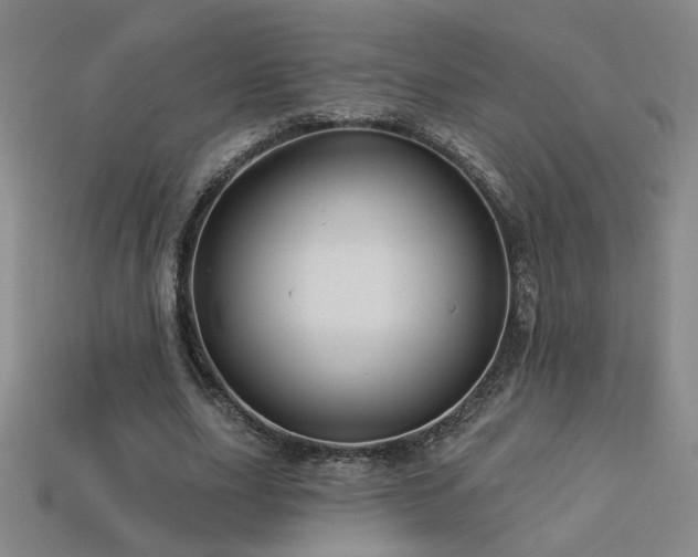 X0000114120631200910051511