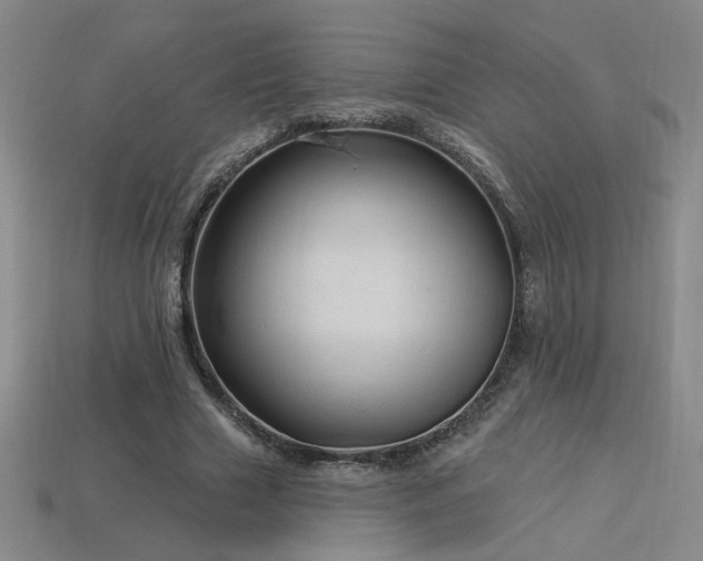 X0000114120633200910051511