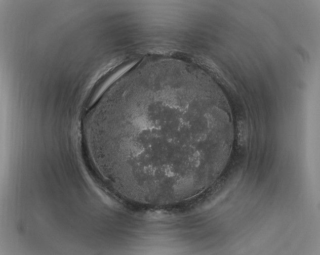 X0000114120634200910051511