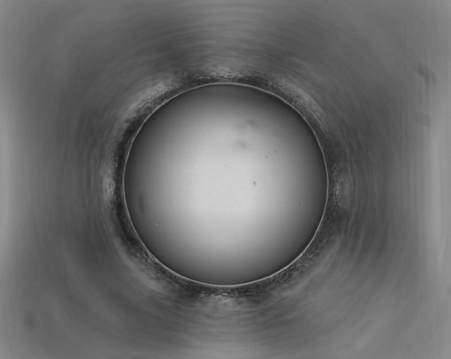 X0000114120635200910051511