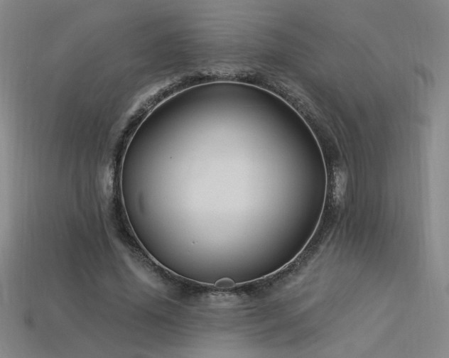 X0000114120636200910051511