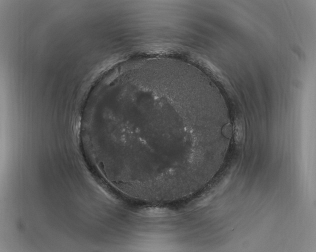 X0000114120637200910051511