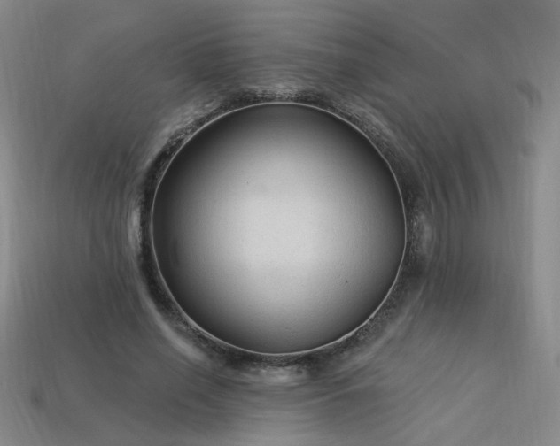 X0000114120638200910051511