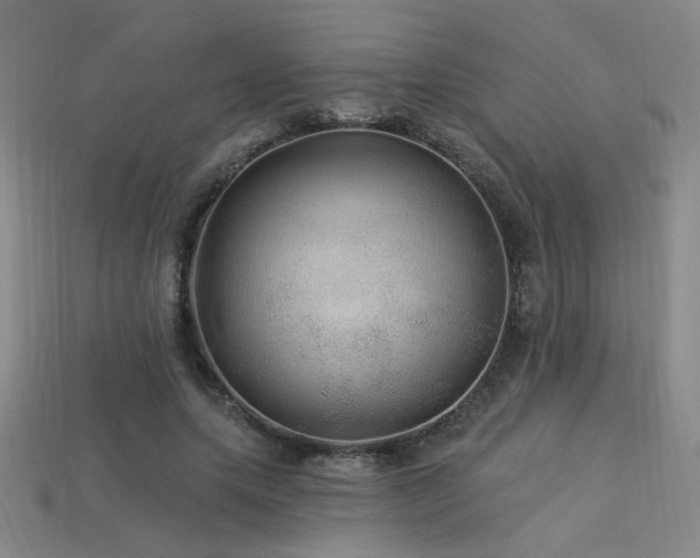 X0000114120639200910051511