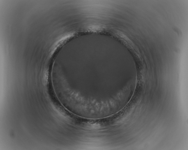 X0000114120640200910051511