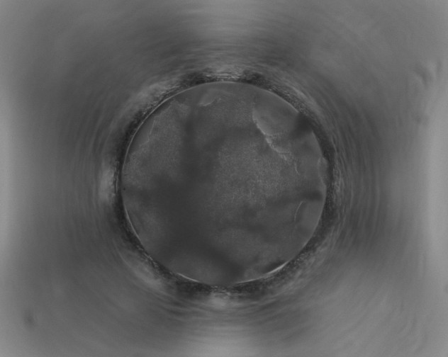 X0000114120641200910051511