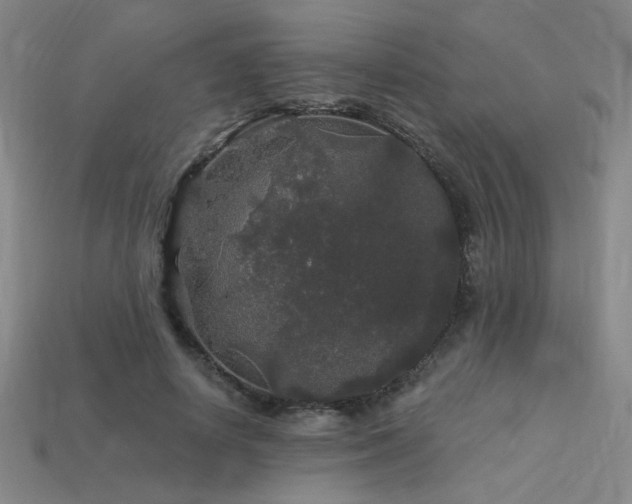 X0000114120642200910051511