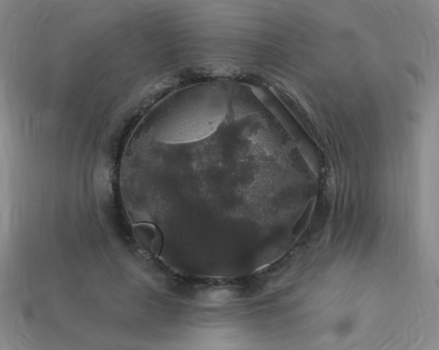 X0000114120643200910051511