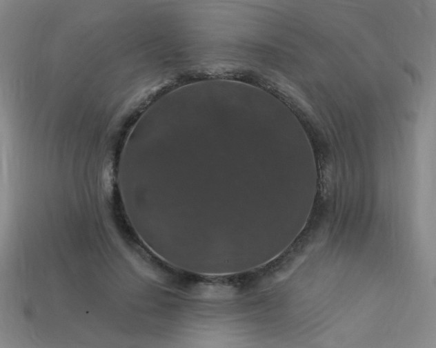 X0000114120644200910051511