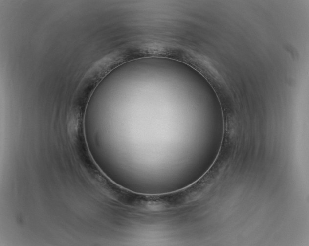 X0000114120645200910051511