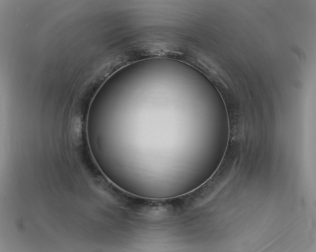 X0000114120646200910051511