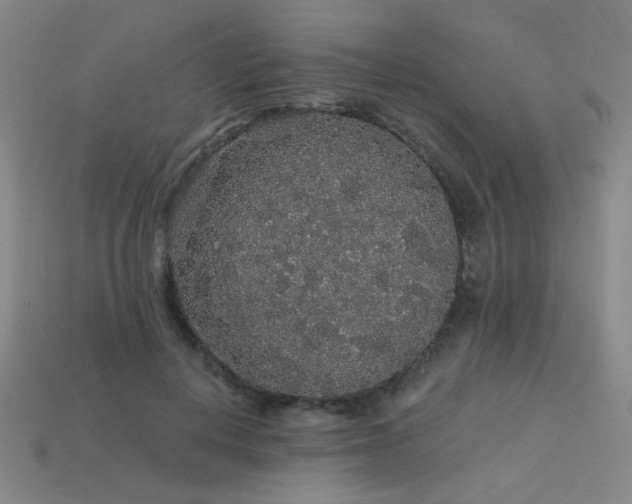 X0000114120648200910051511