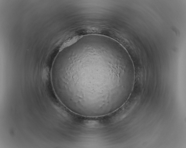 X0000114120649200910051511