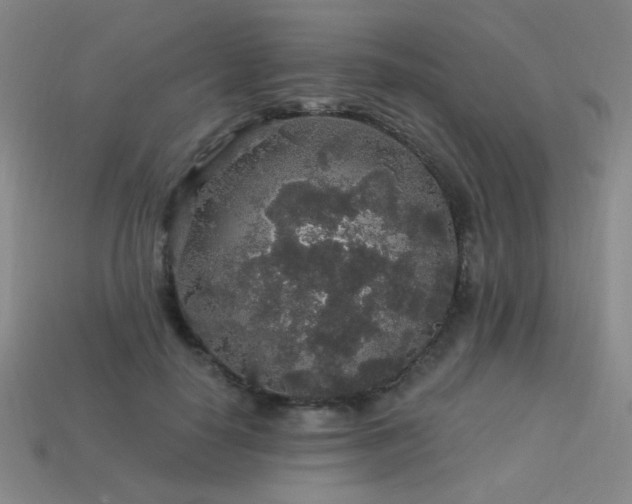 X0000114120650200910051512