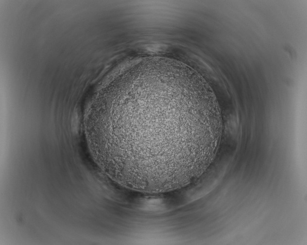 X0000114120651200910051512