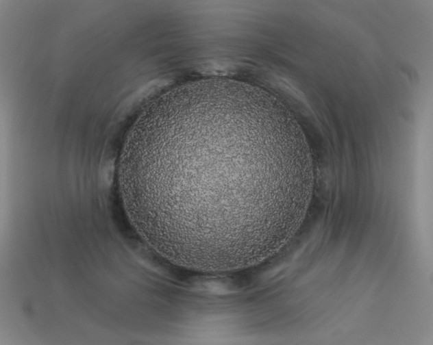 X0000114120652200910051512