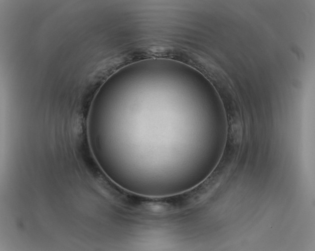 X0000114120654200910051512