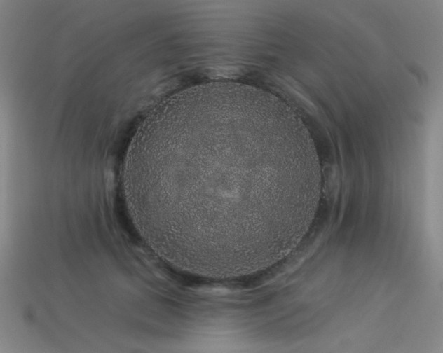 X0000114120655200910051512